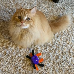 Meet your Posher, Melinda